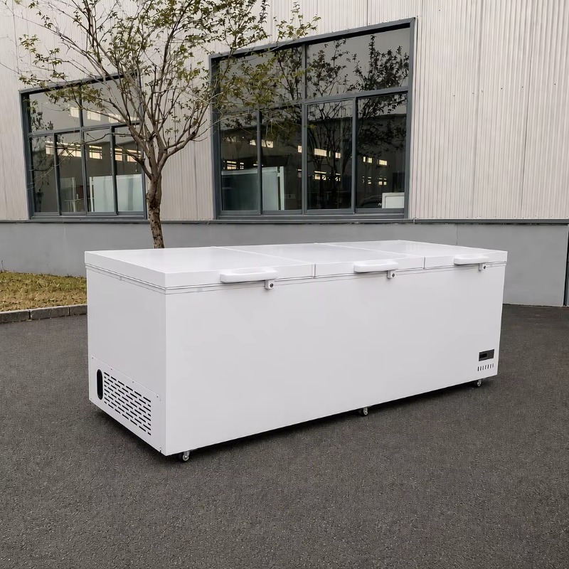 ステンレス製、スーパーマーケット用、業務用、横型、深型冷凍庫 - Commercial Chest Freezer のレビューと価格