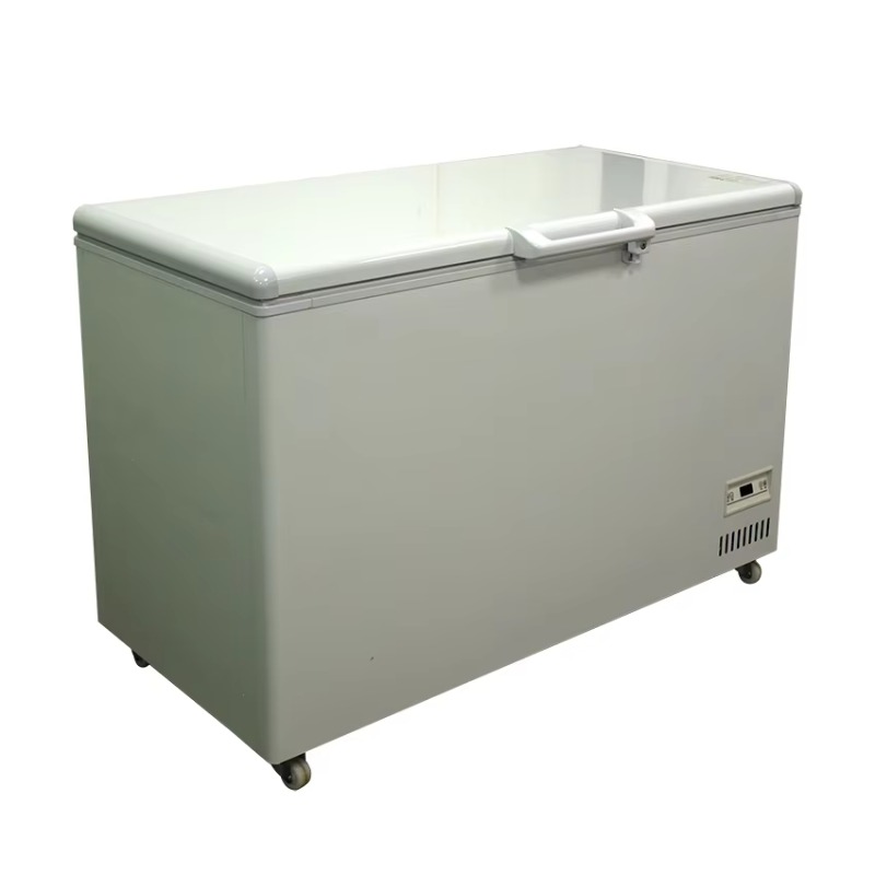 大容量で、単一温度帯、ステンレス製、温度調節機能付きの、上部 - Commercial Chest Freezer のレビューと価格